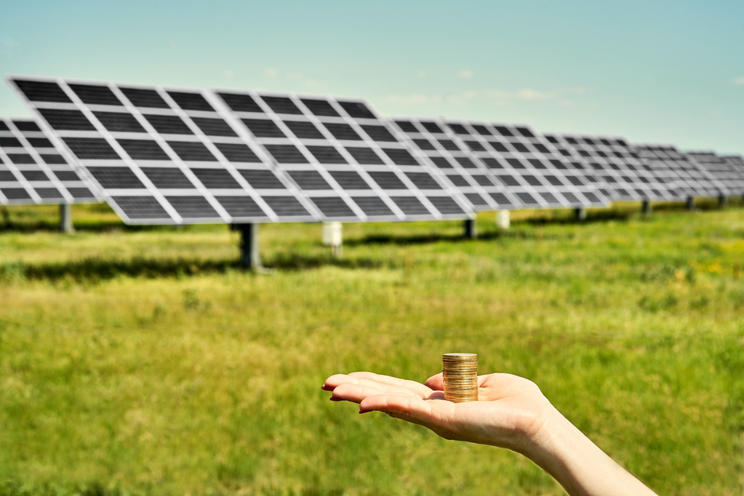 Solar panels in the field and a person holding money in their hands